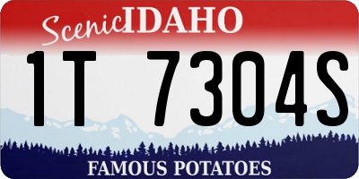 ID license plate 1T7304S