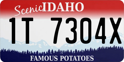 ID license plate 1T7304X