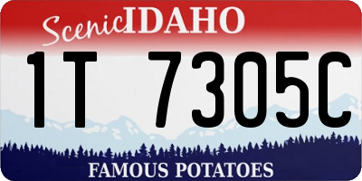 ID license plate 1T7305C