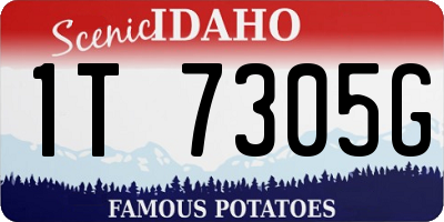 ID license plate 1T7305G
