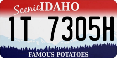 ID license plate 1T7305H