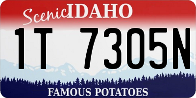 ID license plate 1T7305N