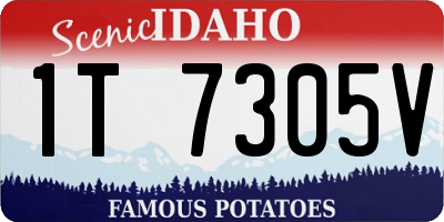 ID license plate 1T7305V