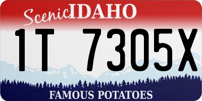 ID license plate 1T7305X