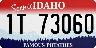 ID license plate 1T7306O