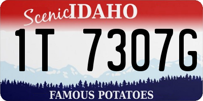 ID license plate 1T7307G