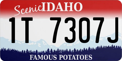 ID license plate 1T7307J