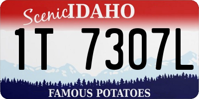 ID license plate 1T7307L