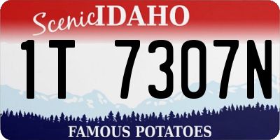 ID license plate 1T7307N