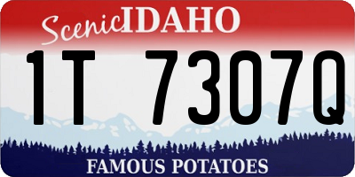 ID license plate 1T7307Q