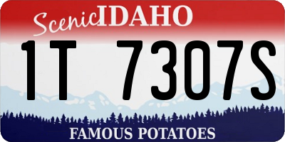 ID license plate 1T7307S