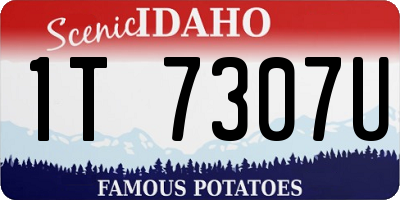 ID license plate 1T7307U
