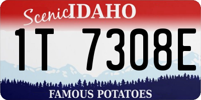 ID license plate 1T7308E