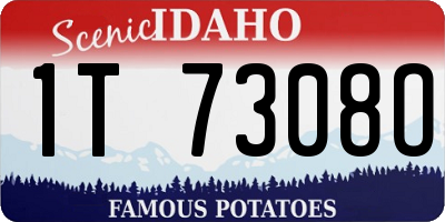 ID license plate 1T7308O