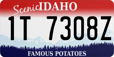 ID license plate 1T7308Z