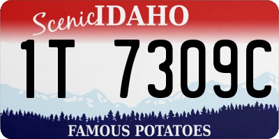 ID license plate 1T7309C