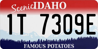 ID license plate 1T7309E