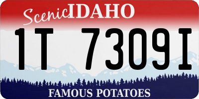 ID license plate 1T7309I