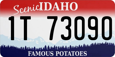 ID license plate 1T7309O
