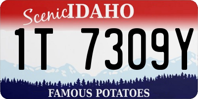ID license plate 1T7309Y