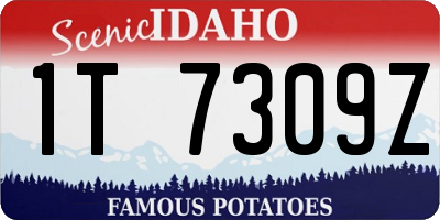 ID license plate 1T7309Z