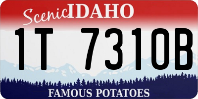 ID license plate 1T7310B