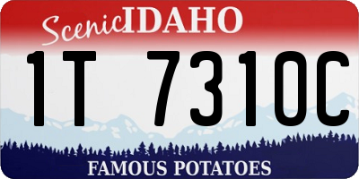 ID license plate 1T7310C