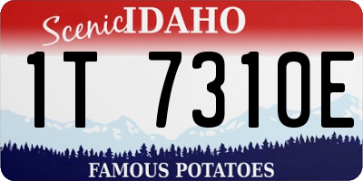 ID license plate 1T7310E