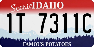 ID license plate 1T7311C