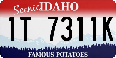 ID license plate 1T7311K