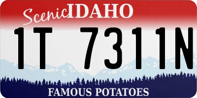ID license plate 1T7311N