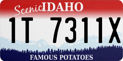 ID license plate 1T7311X