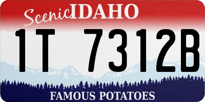 ID license plate 1T7312B