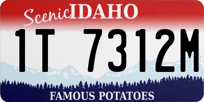 ID license plate 1T7312M