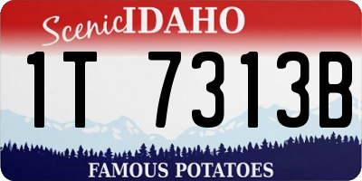 ID license plate 1T7313B
