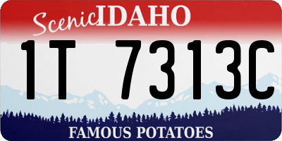 ID license plate 1T7313C