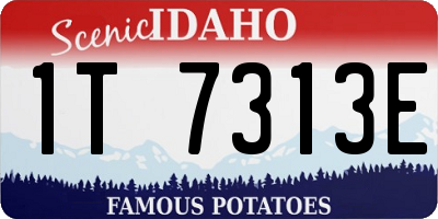 ID license plate 1T7313E