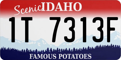 ID license plate 1T7313F