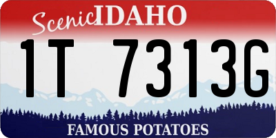 ID license plate 1T7313G