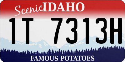 ID license plate 1T7313H