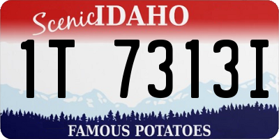 ID license plate 1T7313I