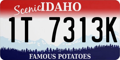 ID license plate 1T7313K