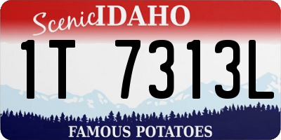 ID license plate 1T7313L
