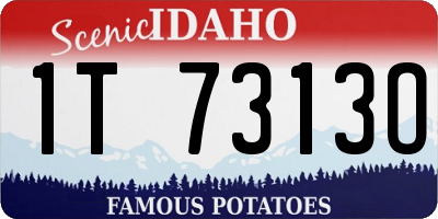 ID license plate 1T7313O