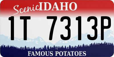 ID license plate 1T7313P