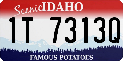 ID license plate 1T7313Q