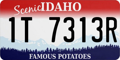 ID license plate 1T7313R
