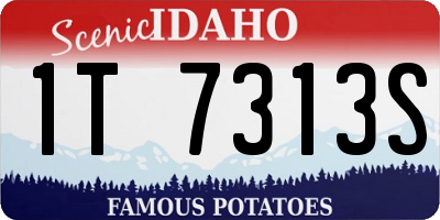 ID license plate 1T7313S