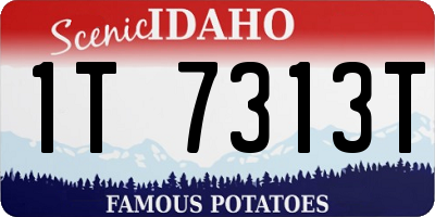 ID license plate 1T7313T