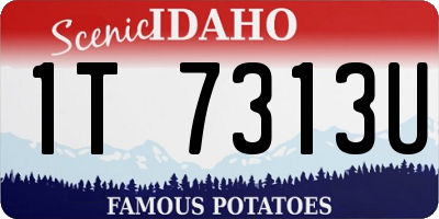 ID license plate 1T7313U